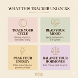 Hormone Cycle Tracker | Premium Digital Planner for Cycle Syncing, Hormone Balance & Women's Wellness | Excel + Google Sheets + PDF Bundle